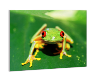 Aluminium Print