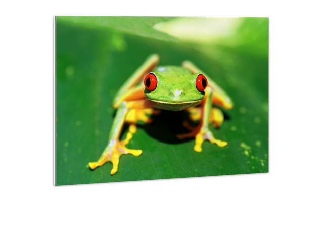 Aluminium Print