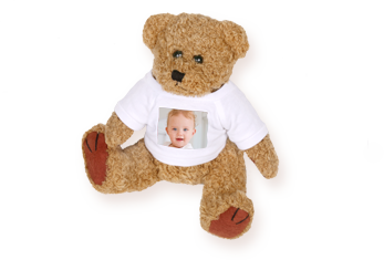 Teddy