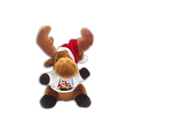 Moose