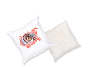 Pillow with Pillow Case