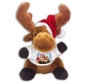 PRODUCT DETAILS: MOOSE