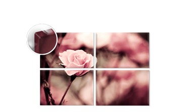 Split-Panel Canvas Prints
