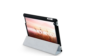 iPad Case